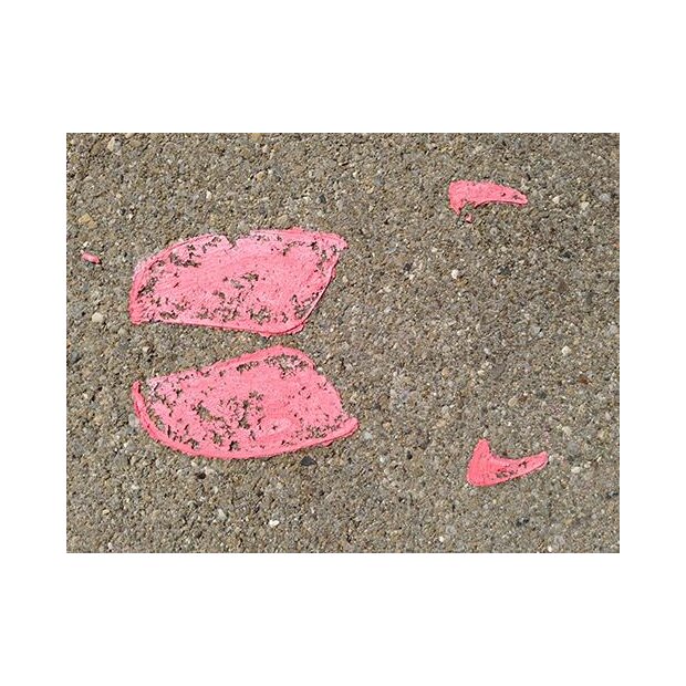 Kraul - 5410 - 7 Tierspuren von 6 Tieren