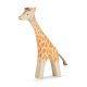 Ostheimer - 21802 - Giraffe laufend